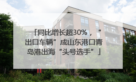 同比增长超30%，“出口车辆”成山东港口青岛港出海“头号选手”