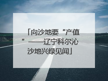 向沙地要“产值”——辽宁科尔沁沙地兴绿见闻