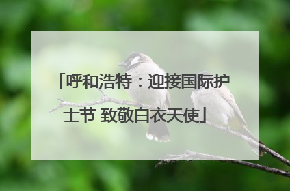 呼和浩特：迎接国际护士节 致敬白衣天使