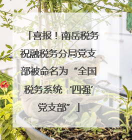 喜报！南岳税务祝融税务分局党支部被命名为“全国税务系统‘四强’党支部”
