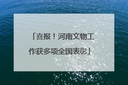 喜报！河南文物工作获多项全国表彰