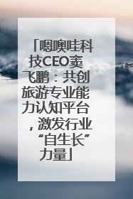 嗯噢哇科技CEO窦飞鹏：共创旅游专业能力认知平台，激发行业“自生长”力量