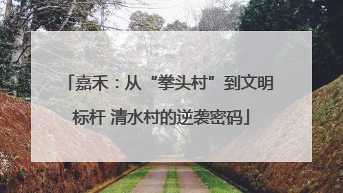 嘉禾：从“拳头村”到文明标杆 清水村的逆袭密码
