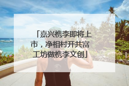 嘉兴槜李即将上市，净相村开共富工坊做槜李文创