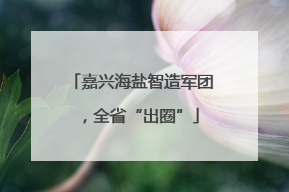 嘉兴海盐智造军团，全省“出圈”