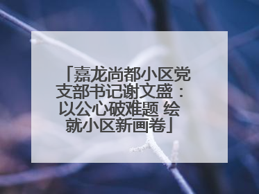 嘉龙尚都小区党支部书记谢文盛：以公心破难题 绘就小区新画卷