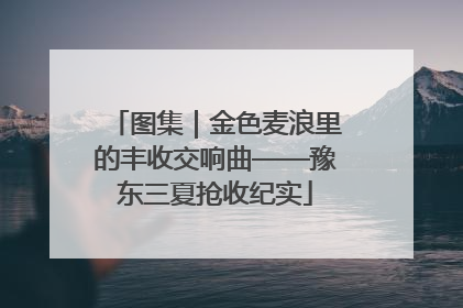 图集｜金色麦浪里的丰收交响曲——豫东三夏抢收纪实