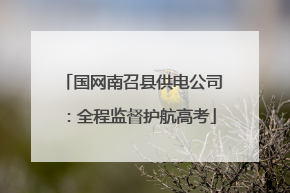 国网南召县供电公司：全程监督护航高考