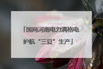 国网河南电力满格电护航“三夏”生产