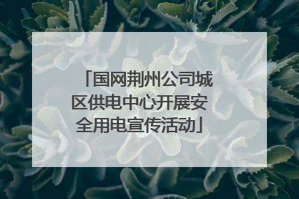 国网荆州公司城区供电中心开展安全用电宣传活动