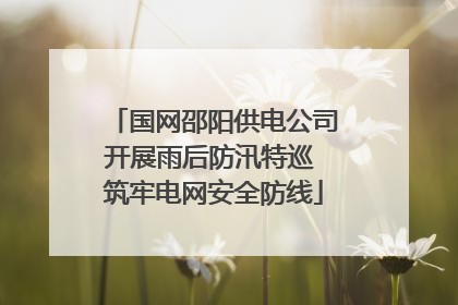 国网邵阳供电公司开展雨后防汛特巡 筑牢电网安全防线