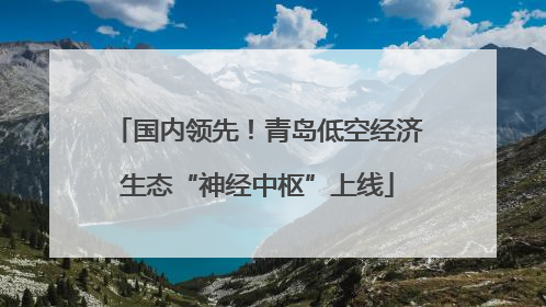 国内领先！青岛低空经济生态“神经中枢”上线