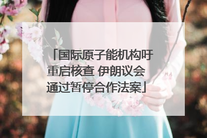 国际原子能机构吁重启核查 伊朗议会通过暂停合作法案