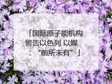 国际原子能机构警告以色列 以媒：“前所未有”