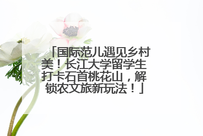 国际范儿遇见乡村美！长江大学留学生打卡石首桃花山，解锁农文旅新玩法！