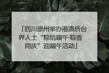 四川崇州举办港澳侨台界人士“粽情端午·粽香同庆”迎端午活动