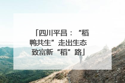 四川平昌：“稻鸭共生”走出生态致富新“稻”路