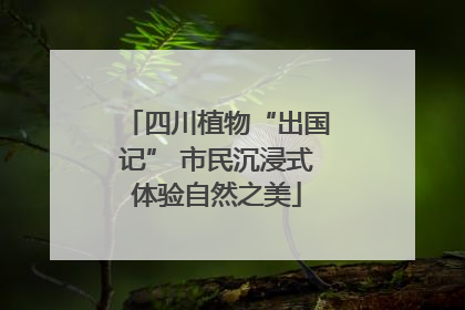 四川植物“出国记” 市民沉浸式体验自然之美
