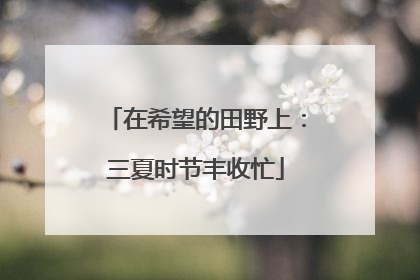 在希望的田野上：三夏时节丰收忙