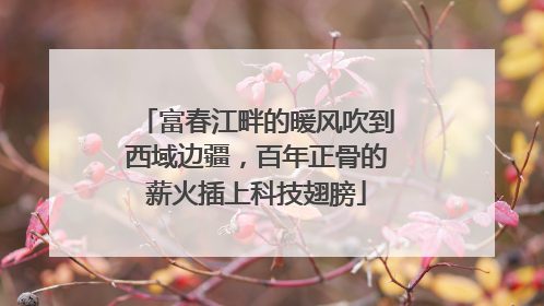 富春江畔的暖风吹到西域边疆，百年正骨的薪火插上科技翅膀