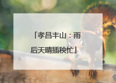孝昌丰山：雨后天晴插秧忙