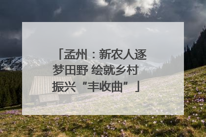 孟州：新农人逐梦田野 绘就乡村振兴“丰收曲”