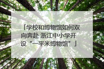学校和博物馆如何双向奔赴 浙江中小学开设“一平米博物馆”