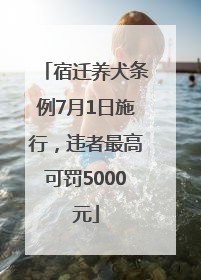 宿迁养犬条例7月1日施行，违者最高可罚5000元