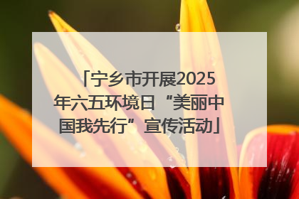 宁乡市开展2025年六五环境日“美丽中国我先行”宣传活动