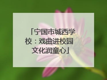 宁国市城西学校：戏曲进校园 文化润童心