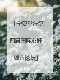 宁夏举行第四届国际友好城市论坛
