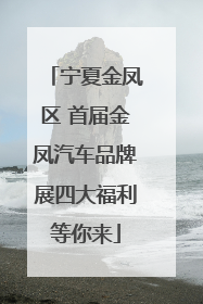 宁夏金凤区 首届金凤汽车品牌展四大福利等你来