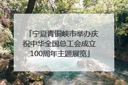 宁夏青铜峡市举办庆祝中华全国总工会成立100周年主题展览