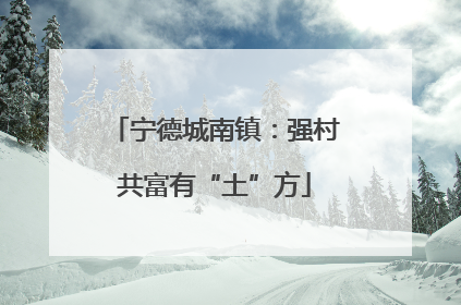 宁德城南镇：强村共富有“土”方