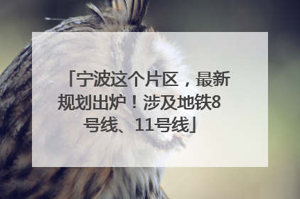 宁波这个片区，最新规划出炉！涉及地铁8号线、11号线