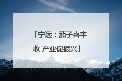 宁远：茄子喜丰收 产业促振兴