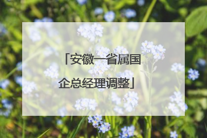 安徽一省属国企总经理调整