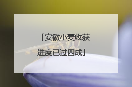 安徽小麦收获进度已过四成