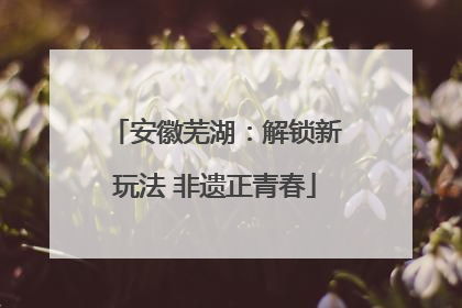 安徽芜湖：解锁新玩法 非遗正青春