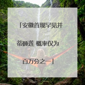 安徽首现罕见并蒂睡莲 概率仅为百万分之一