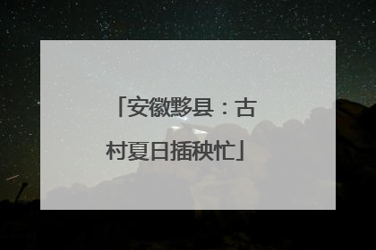 安徽黟县：古村夏日插秧忙
