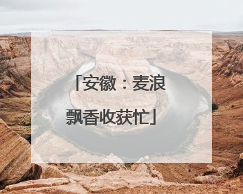 安徽：麦浪飘香收获忙