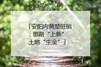 安阳内黄楚旺镇：思路“上新” 土地“生金”