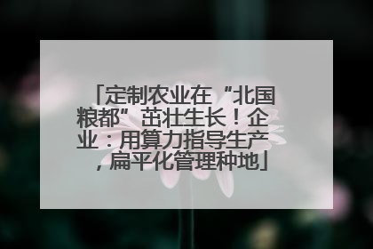 定制农业在“北国粮都”茁壮生长！企业：用算力指导生产，扁平化管理种地