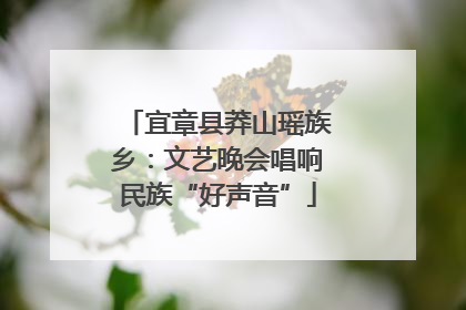 宜章县莽山瑶族乡：文艺晚会唱响民族“好声音”