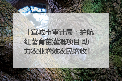 宜城市审计局：护航红薯育苗灌溉项目 助力农业增效农民增收
