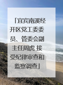 宜宾南溪经开区党工委委员、管委会副主任周虎 接受纪律审查和监察调查