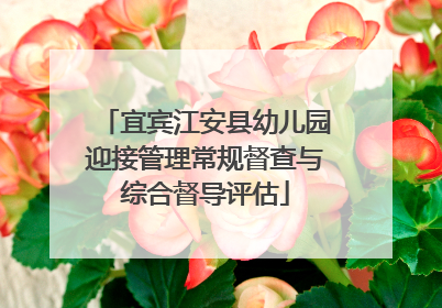 宜宾江安县幼儿园迎接管理常规督查与综合督导评估