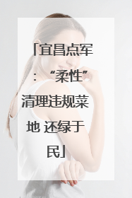 宜昌点军：“柔性”清理违规菜地 还绿于民