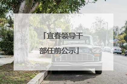 宜春领导干部任前公示